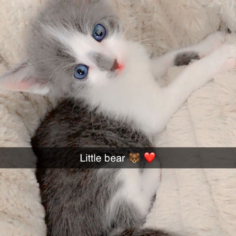 Meet your Posher, Omar